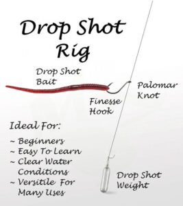 Drop-shot-rig