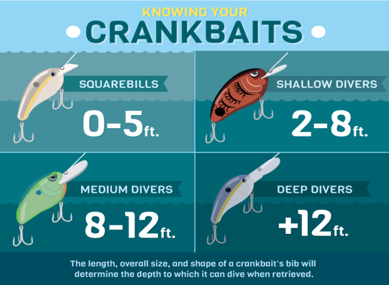 Swim Bait Vs The Crankbait, Which Is Better And When? - Bass Fishing Canada