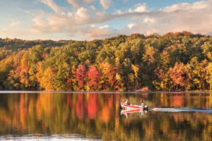 Fall Bass Fishing Techniques